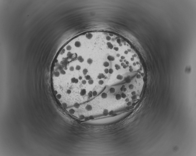 X0000097591234200803280920