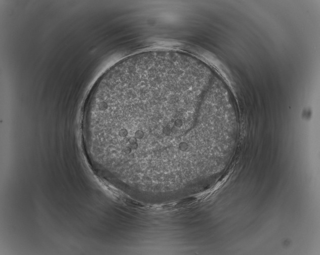 X0000097591235200803280920