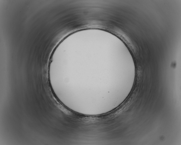 X0000097591236200803280920