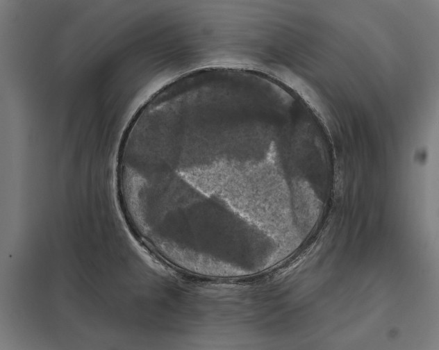 X0000097591237200803280920