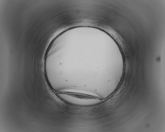 X0000097591238200803280920