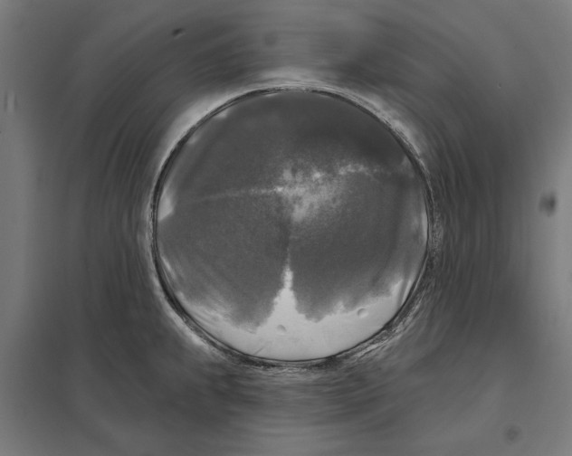 X0000097591239200803280920