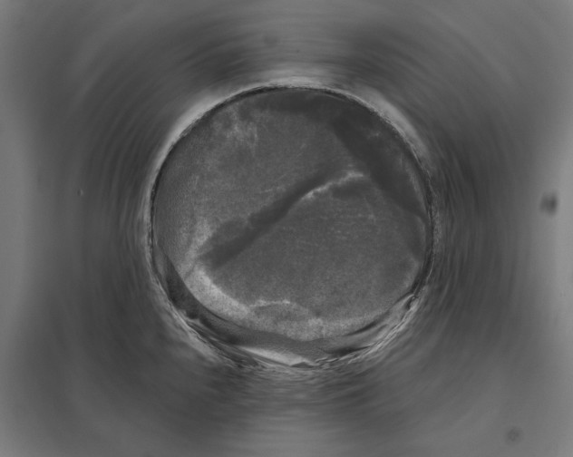 X0000097591240200803280920