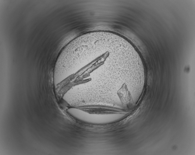 X0000097591241200803280920