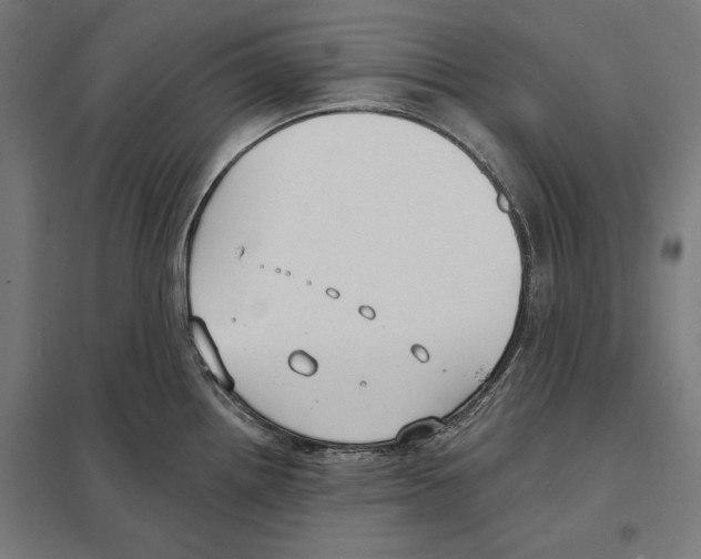 X0000097591242200803280920