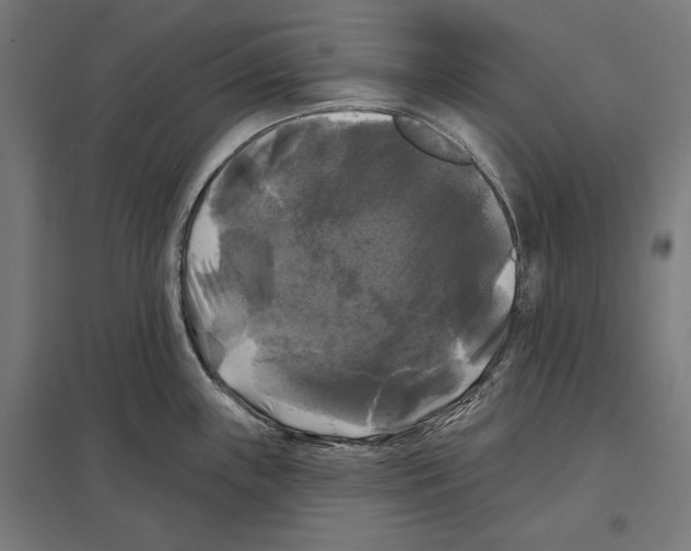 X0000097591243200803280920