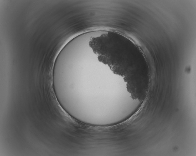 X0000097591244200803280920