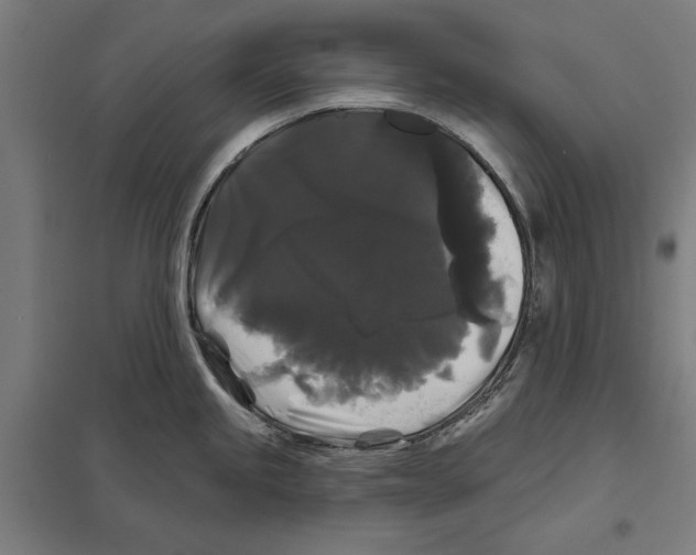 X0000097591245200803280920