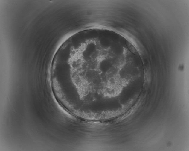 X0000097591247200803280920