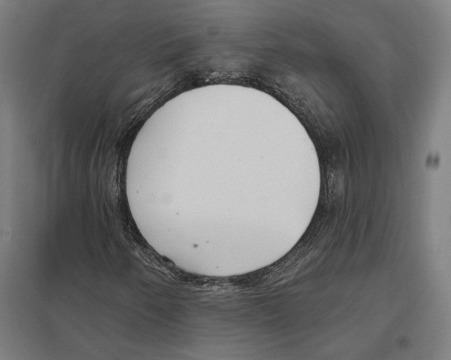 X0000097591250200803280919