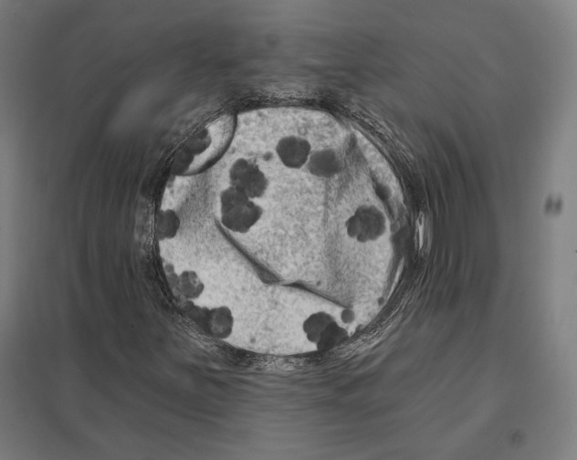 X0000097591251200803280919