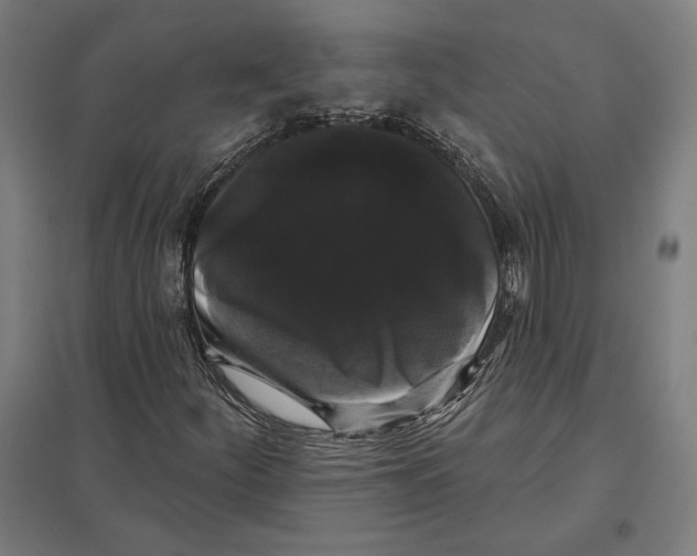 X0000097591252200803280919