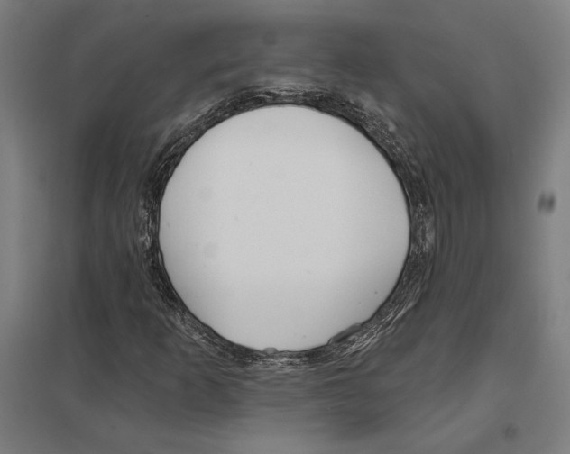 X0000097591253200803280919