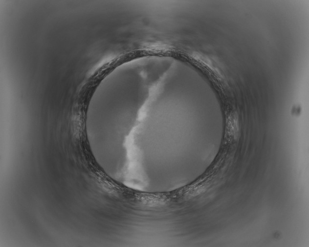 X0000097591254200803280919