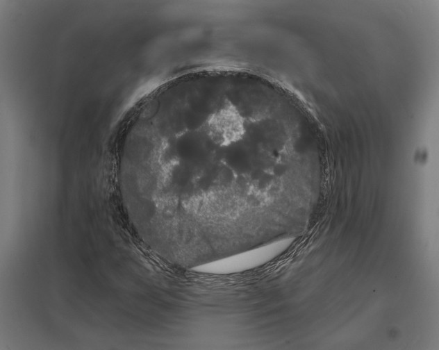 X0000097591255200803280919