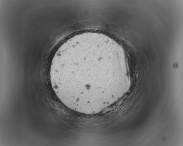 X0000097591256200803280919