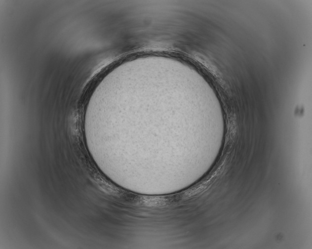 X0000097591258200803280919