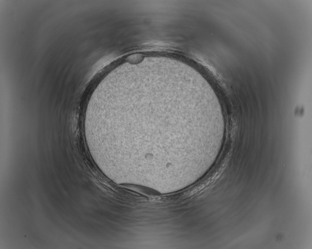 X0000097591259200803280919