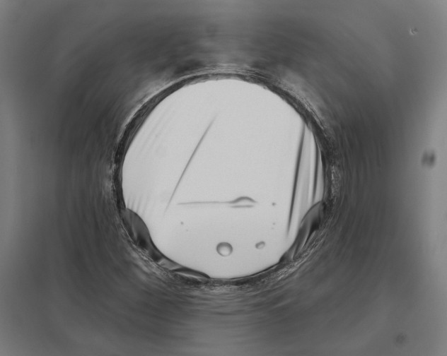 X0000097591260200803280919