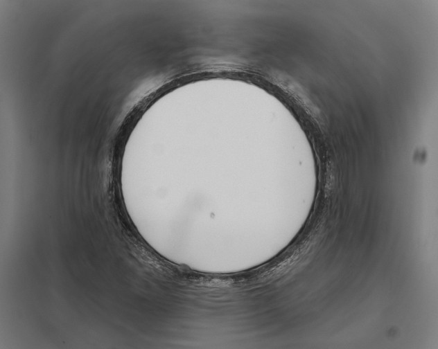 X0000097591261200803280919