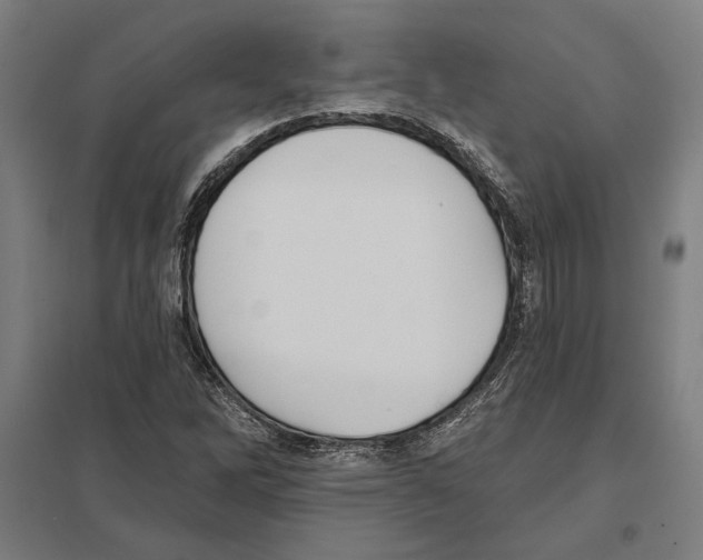 X0000097591262200803280919