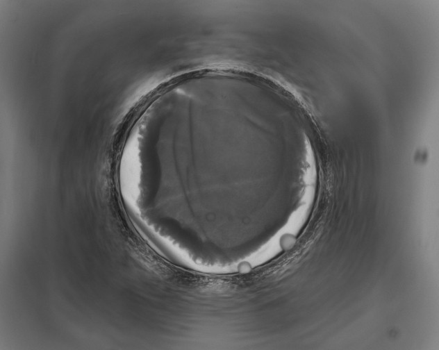 X0000097591263200803280919