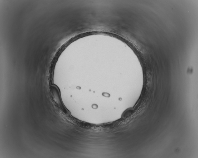 X0000097591264200803280919