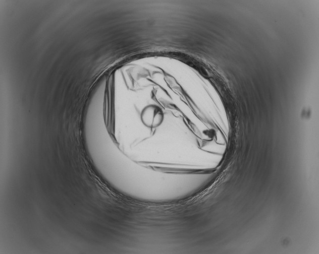 X0000097591265200803280919