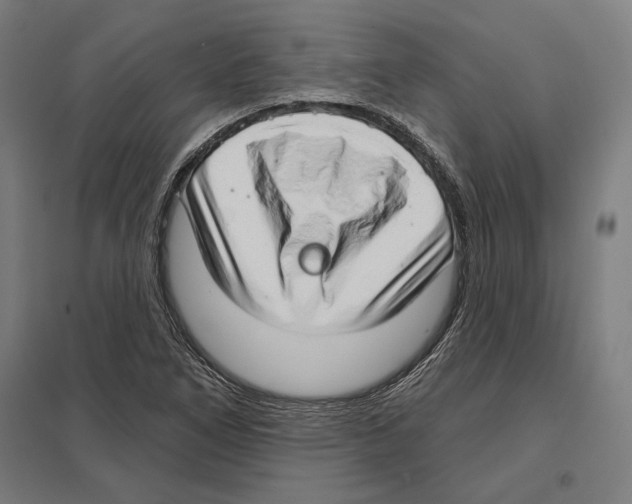 X0000097591266200803280919