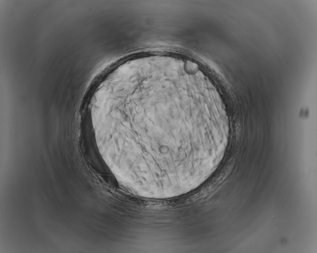 X0000097591267200803280919