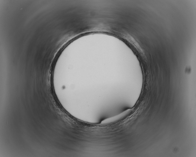 X0000097591268200803280919