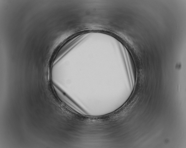 X0000097591269200803280919