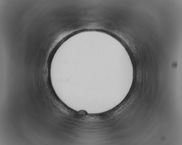 X0000097591270200803280919