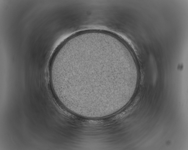 X0000097591271200803280919