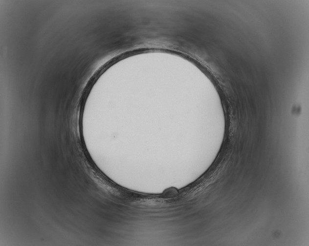 X0000097591272200803280919