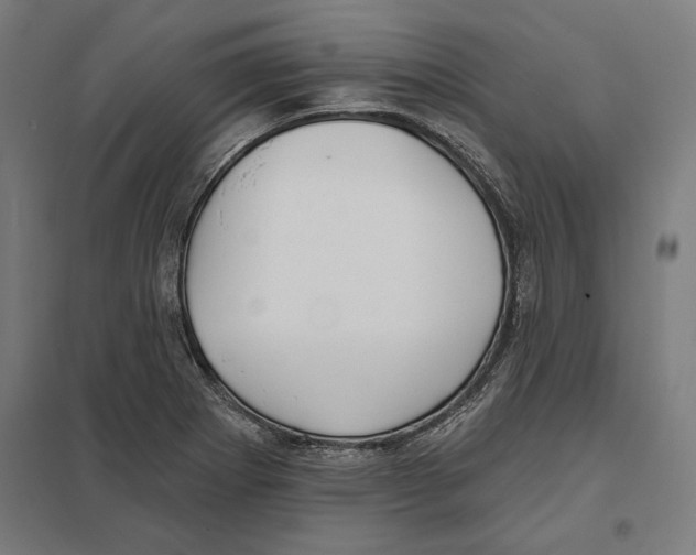 X0000097591273200803280919