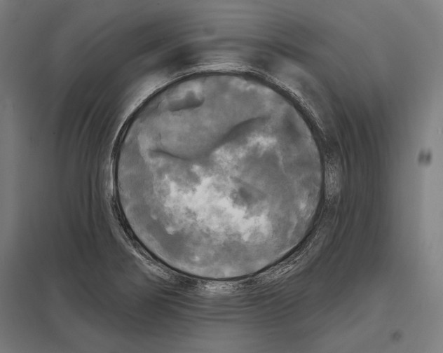 X0000097591274200803280919