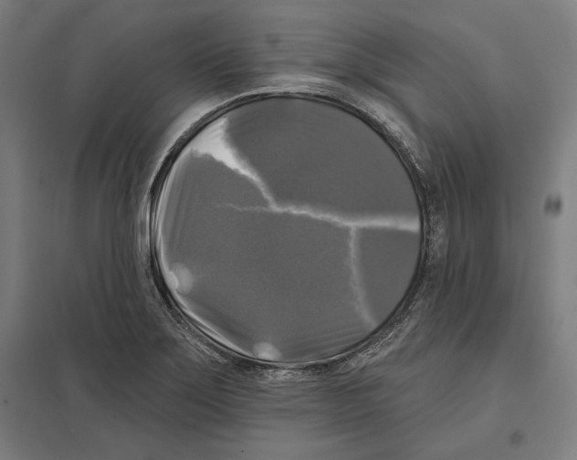 X0000097591275200803280919