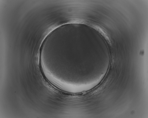 X0000097591276200803280919