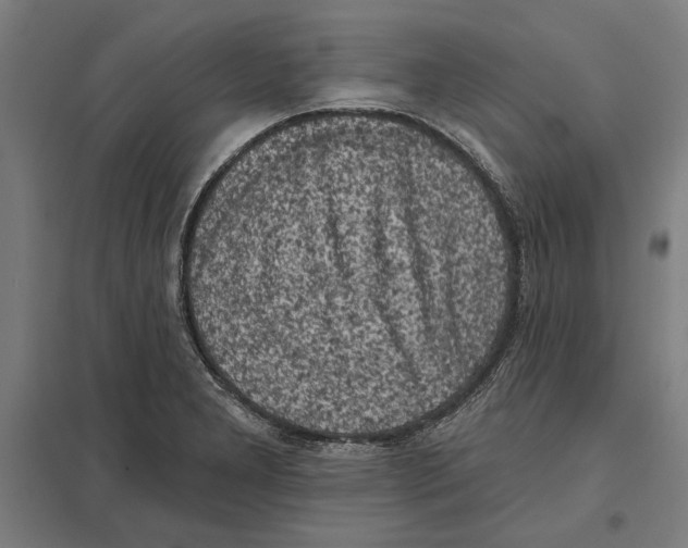 X0000097591277200803280919