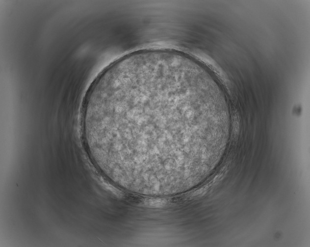 X0000097591278200803280919