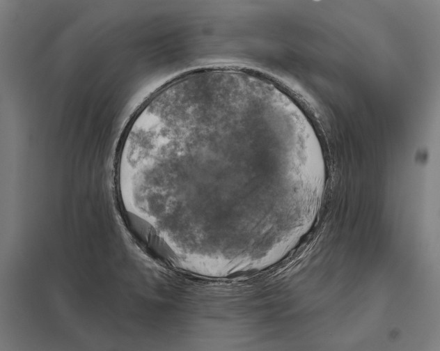 X0000097591279200803280919