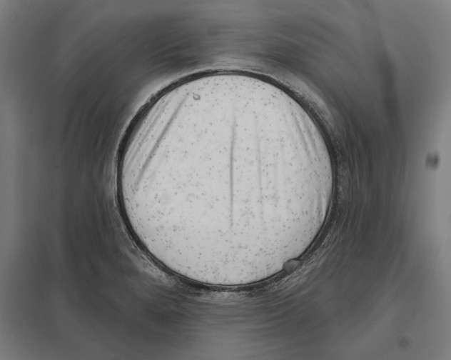 X0000097591280200803280919