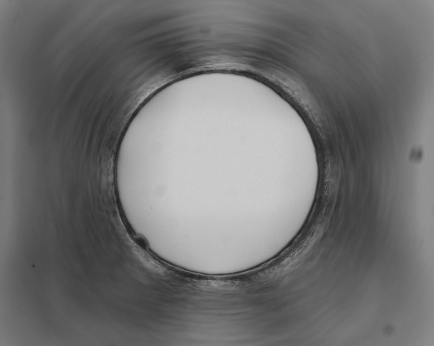 X0000097591281200803280919