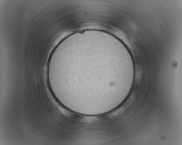 X0000097591282200803280919