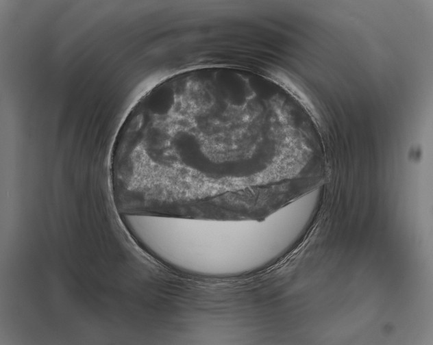 X0000097591283200803280919