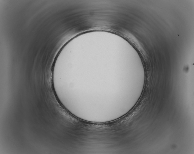 X0000097591284200803280919