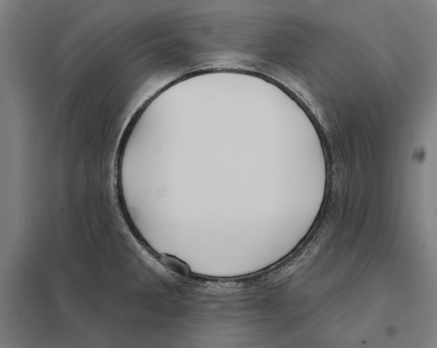 X0000097591285200803280919