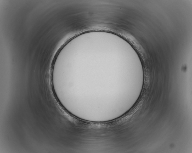 X0000097591286200803280919