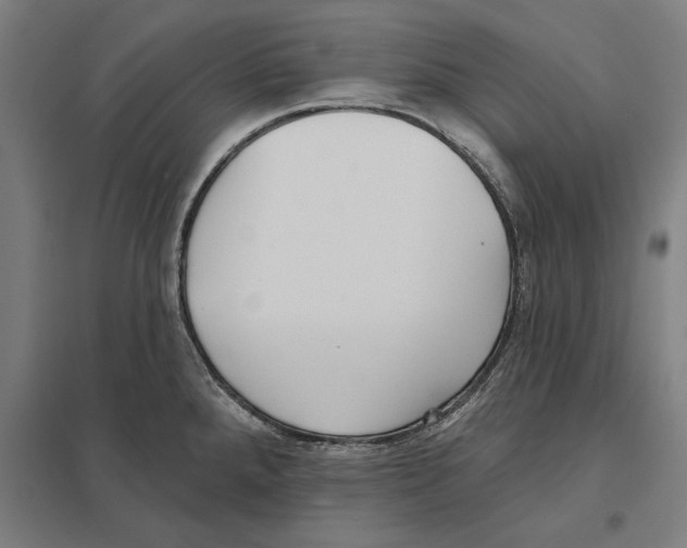 X0000097591288200803280919